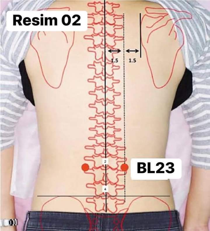 23 точки. Точка v23 Шэнь-Шу. Точка акупунктуры Шэнь Шу. Точка Шэнь Шу 23. Bl23 акупунктура.