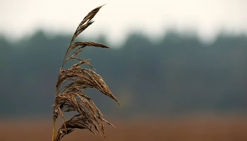 Duygusuz Nesil Tehlikesi