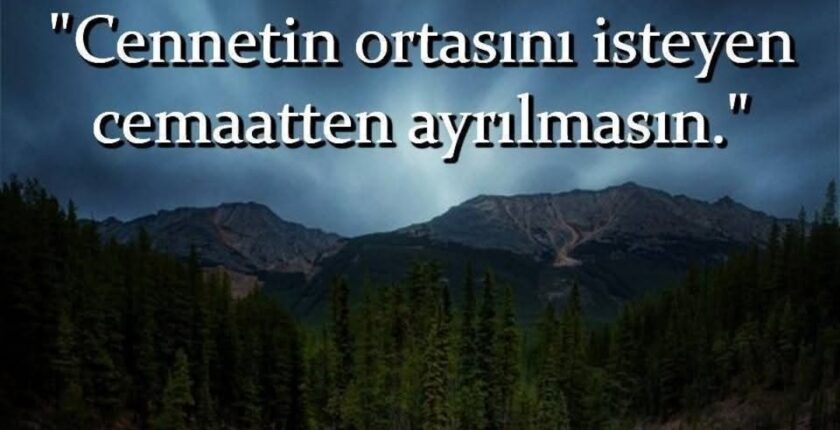 Sünnet ve Cemaate Bağlılığın Önemi Sünnet ve Cemaate Bağlılığın Önemi