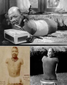 Tırtıl adam