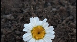 Ahir zaman hastalığı ve Namaz