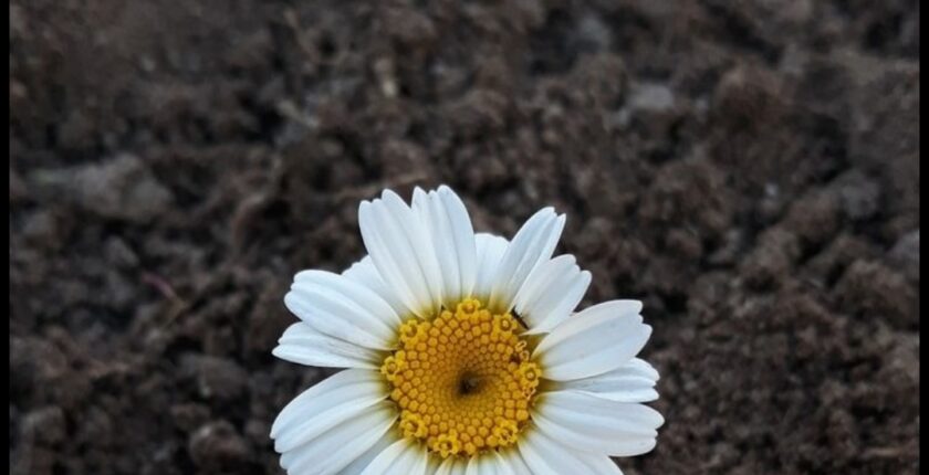 Ahir zaman hastalığı ve Namaz