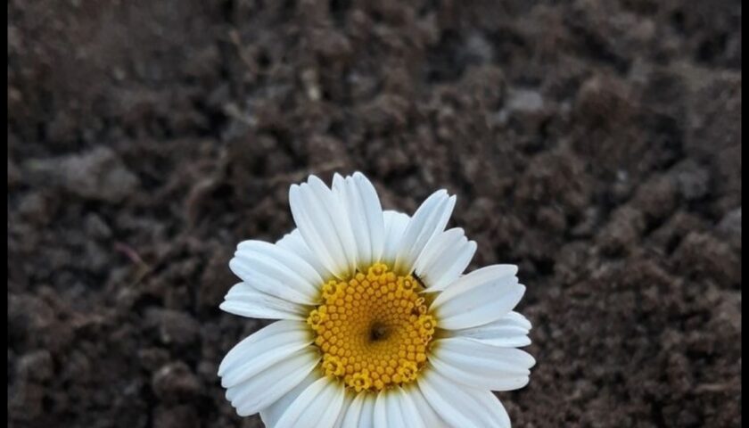 Ahir zaman hastalığı ve Namaz